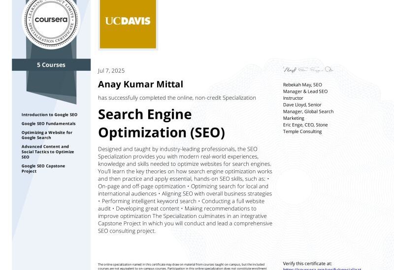 Experienced And Certified Seo Trainer In Patiala